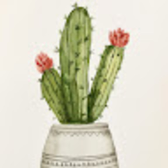 Meet your Posher, Norene - Picture 1 of 1